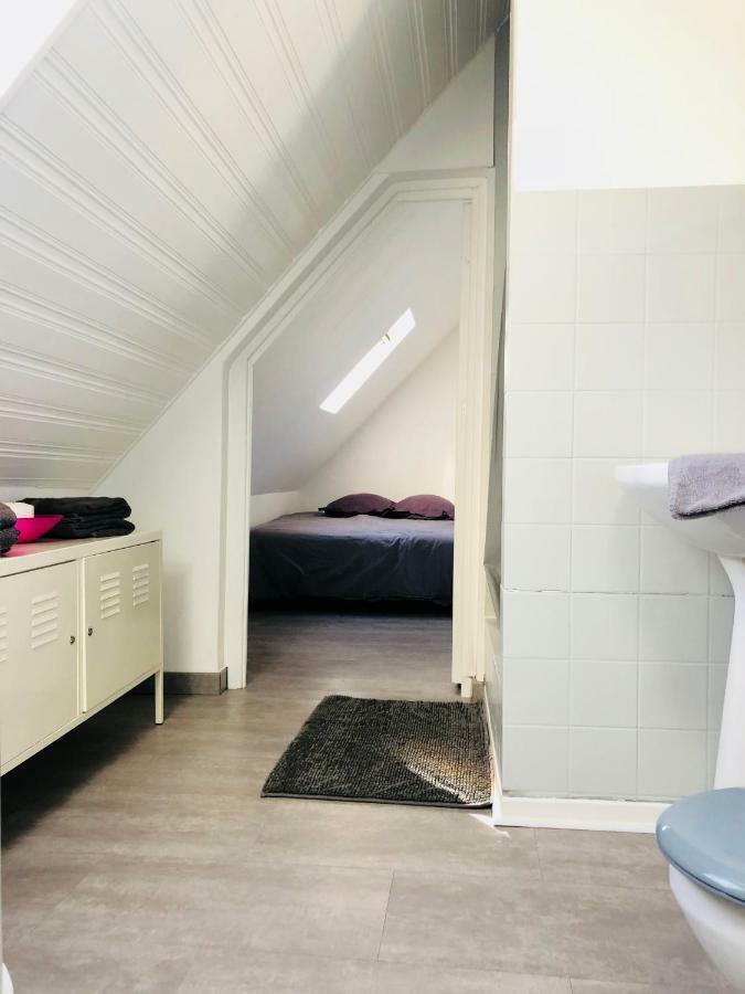 F1 Atypique Au Centre De Strasbourg Apartment Екстериор снимка