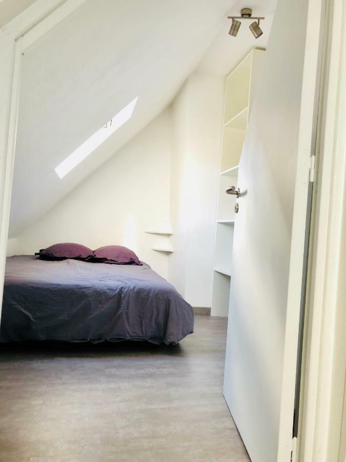 F1 Atypique Au Centre De Strasbourg Apartment Екстериор снимка